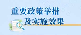 重要政策舉措及實施效果